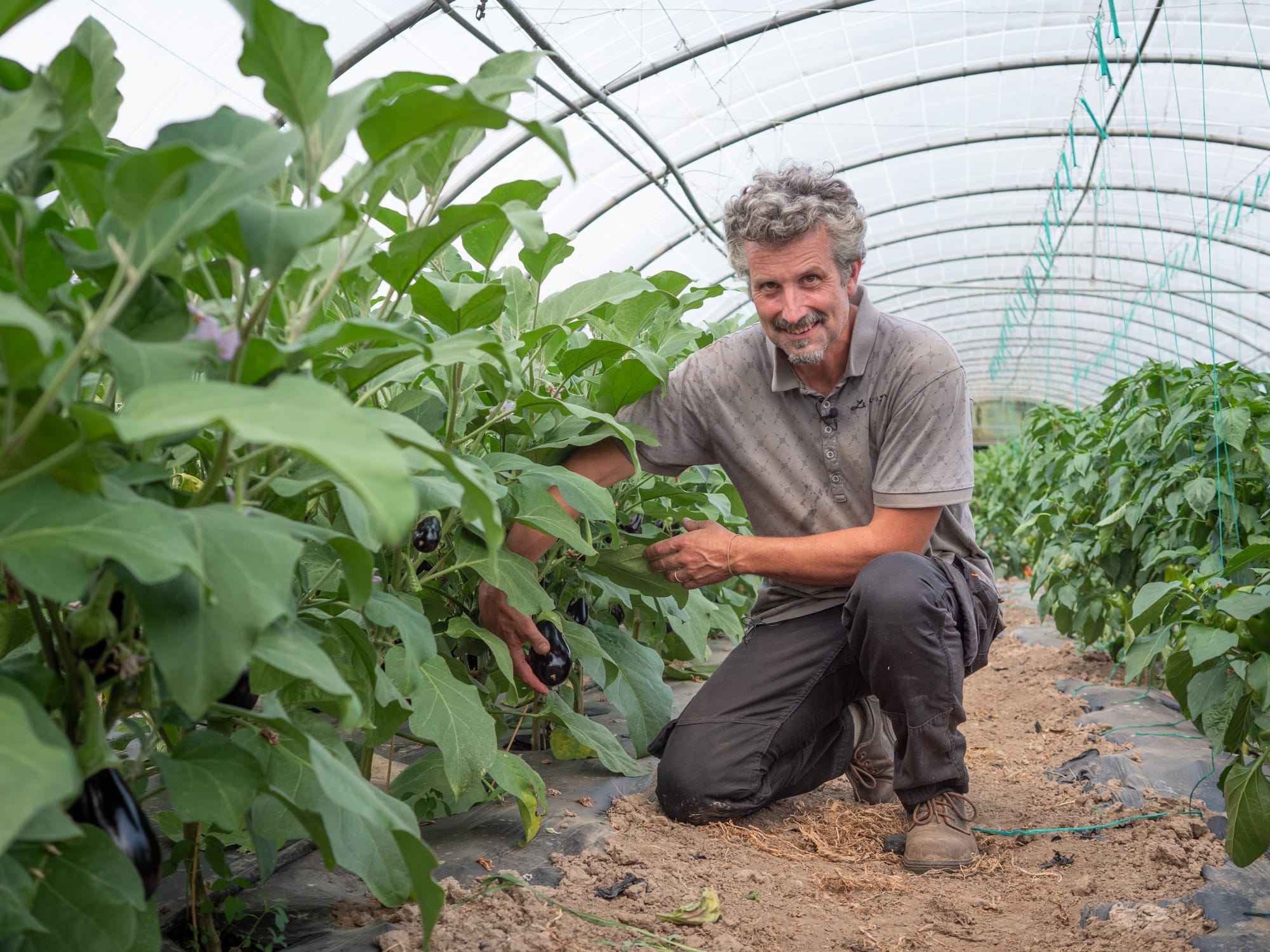 Laurent, maraicher bio de la ferme Le Buisson