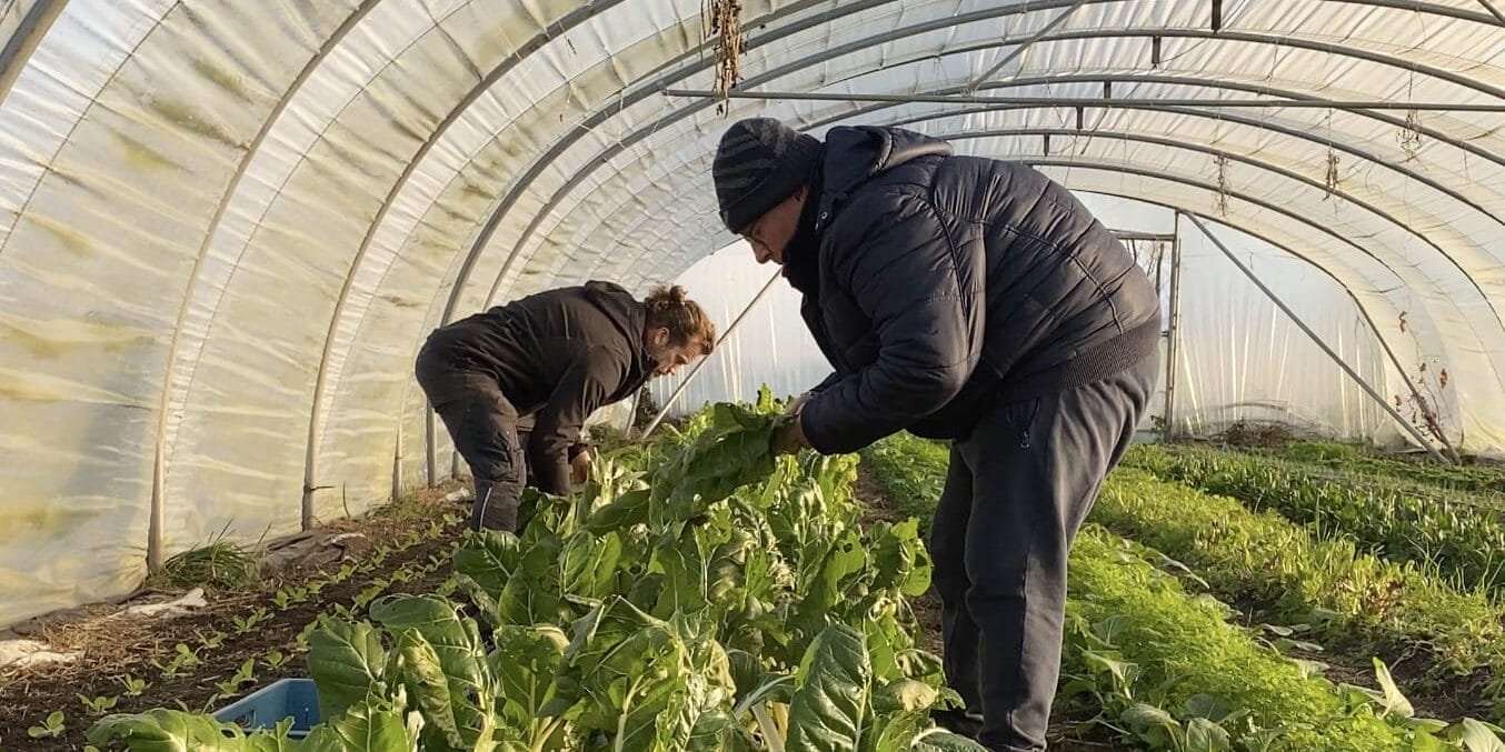 agriculture sociale