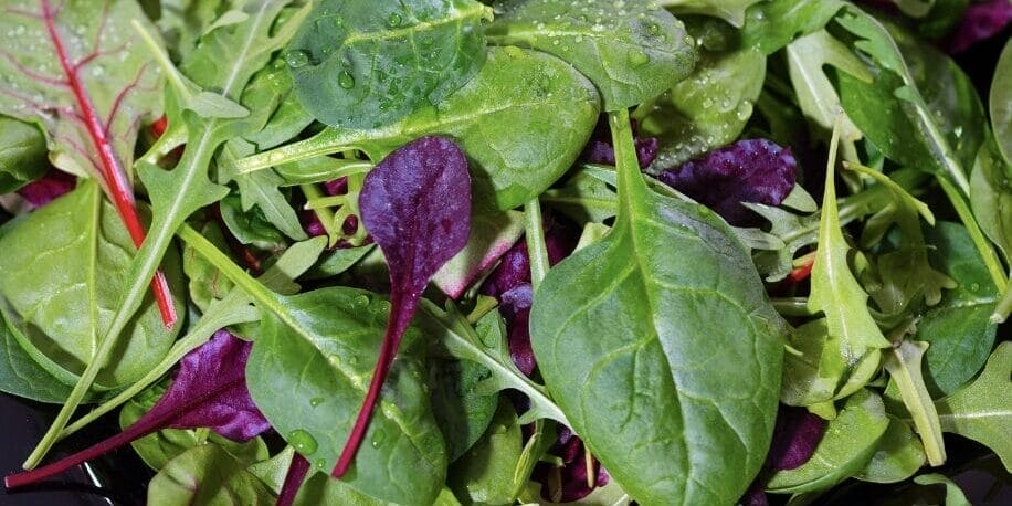Mesclun